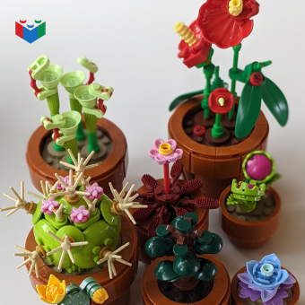 Miniatúrne rastliny